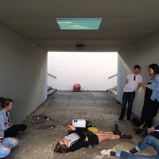 Installation: Sky Petcher (1)