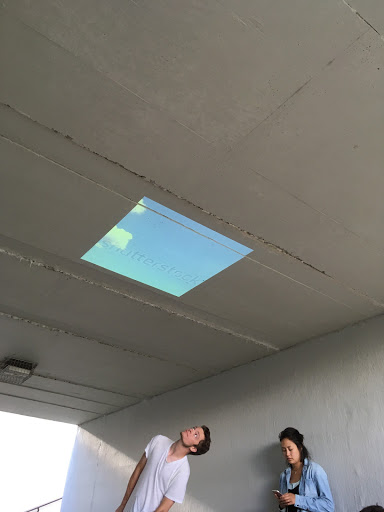 Installation: Sky Petcher (2)